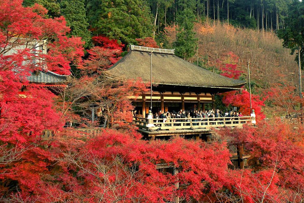 Вілла Zen Kyoto Kinkaku-Ji Temple Екстер'єр фото