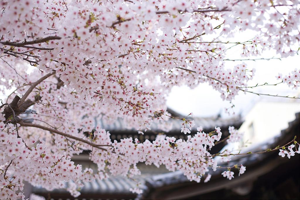 Вілла Zen Kyoto Kinkaku-Ji Temple Екстер'єр фото